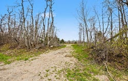 4056 N Ayr Road, Alanson, MI 49706