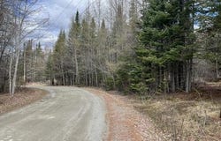 Doe Path lot: 12, Rangeley, ME 04970
