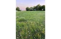 1201 Pietzsch St, Bartlett, TX 76511
