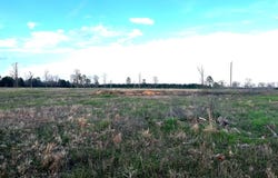 Grapevine Ave, Logansport, LA 71049