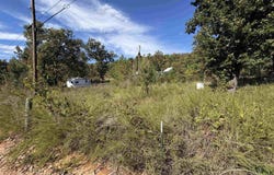 267 Mayfield Lane, Flippin, AR 72634