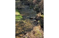 21 Crawford Road, Eldred, NY 12732