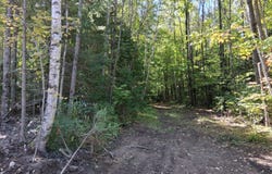 20 National Trail/Star Lake Road, Crandon, WI 54520