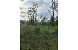 PID 28848 CR 1735, Grapeland, TX 75844