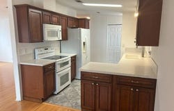 136 Begonia Terrace, Parrish, FL 34219