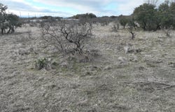 Lakeside Circle, May, TX 76857