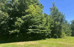 Excalibur Trail (Lot 239), Cedar Grove, TN 38321