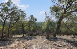 601 Mount Olive School Rd, Wimberley, TX 78676