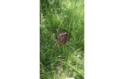 Sunset Drive, Lot 6, Marshfield, MO 65706