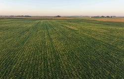 Xircus Avenue, Williams, IA 50271