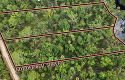 2338 NE Ancient Oaks Dr, Steinhatchee, FL 32359