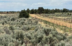 3141 County Road 130, Hesperus, CO 81326