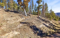 12 W Pergatory Drive, Alpine, AZ 85920