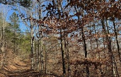 231.8 AC New Hope Rd, Celina, TN 38551