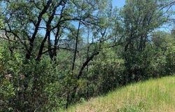 7268 Shasta, Nice, CA 95464
