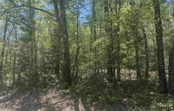 6889 Fm 1399, Linden, TX 75563