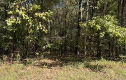 Brownlee Road, Senatobia, MS 38668