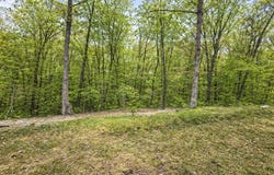 28 Bright Drive, Branson West, MO 65737