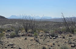 74 Jasper Rd, Terlingua, TX 79852
