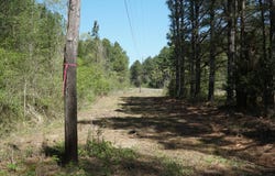 Byler Road, Eldridge, AL 35554