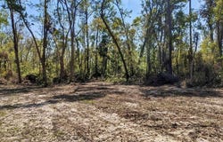 SE Stephens Avenue, Madison, FL 32340