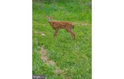 3850 PETERS MOUNTAIN Road, HALIFAX, PA 17032
