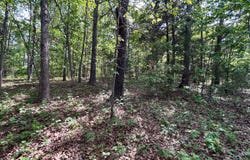 County Road 544, Bakersfield, MO 65609