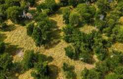 274 Ridgeline Drive, Chico, TX 76431