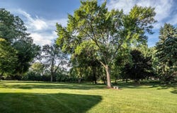 14351 Glenda Drive, Apple Valley, MN 55124