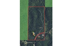 6511 State Highway H, Forsyth, MO 65653