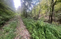 246 Silent Drive, Charleston, WV 25312