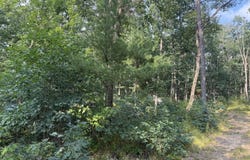 2668 W Moonflower, Baldwin, MI 49304