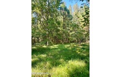 4811 Holcomb-sweethome Road, Holcomb, MS 38940