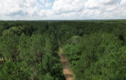 County Road 3706, Tenaha, TX 75974