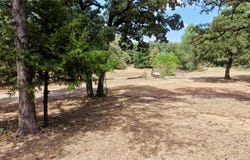 490 HCR 1250, Whitney, TX 76692