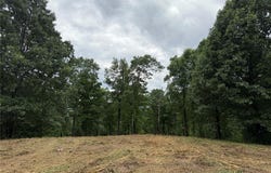 146 NC 3920, Marble Falls, AR 72648