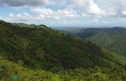 Doña Elena, Comerio, PR 00782