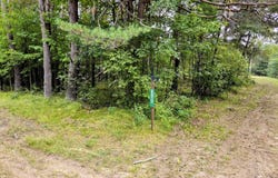 6573 Williams Trail, Grayling, MI 49738