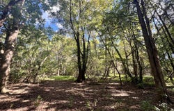 Coleman Loop Road lot: 5, Hillsborough, NC 27278