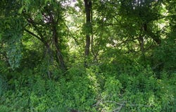 23a & 9w, Catskill, NY 12414