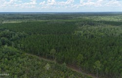 Fire Tower Road, Manor, GA 31550