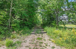 West20 DAVIES RD, Phelps, WI 54554