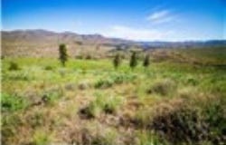 Sawtooth View Rd, Methow, WA 98834
