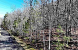 438 STONEGATE DRIVE lot: 64 & 63, BIRMINGHAM, AL 35242