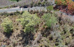Juana Diaz, Juana Diaz, PR 00795