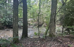 Slick Rock Rd, Eolia, KY 40826