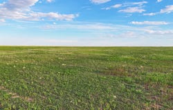 County Road V, Walsh, CO 81090