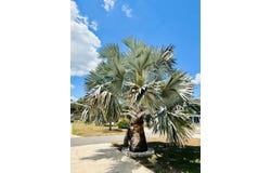 1043 Indiana, Fort Meade, FL 33841