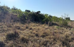 TBD Tract N25 PR 2902, Hamilton, TX 76531