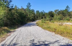 Sam Lewis Road, Citronelle, AL 36522